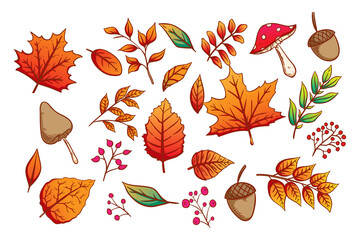 Obraz premium Set of colorful Autumn icons or elements