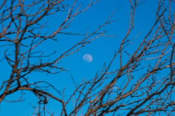 Moon Over Palo Duro Canyon State Park Outside of Amarillo, Texas 