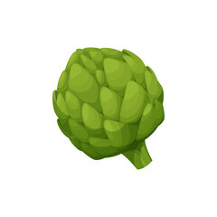 Globe artichoke or green thistle isolated vegetarian food. Vector cynara cardunculus flower bud, healthy veggie greens. Realistic fresh french artichoke head, salad ingredient. Edible globe artichoke