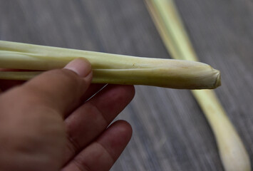 Cymbopogon citratus, commonly known as West Indian lemon grass or simply lemon grass, is a tropical plant and abundant in  Indonesia where it is known as sereh and used as traditionally cuisine