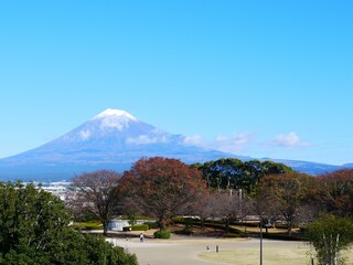 富士市からの富士山　左寄り