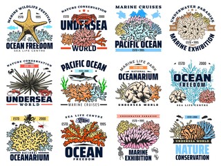 Coral, seafood, sea fish and animal isolated vector icons. Starfish, sea urchin and turtle, shark, crab, octopus, shrimp or prawn, squid, coral reef polyp, algae and seaweed symbols and emblems design
