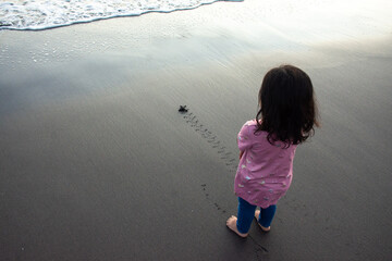 Be Free turtle footprints