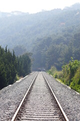 Fototapeta premium 철길, 철도, 해안선, 기차, 기찻길, 동부선, 여행, 간이역, 