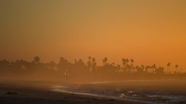An orange, glowing sky at the ocean beach caused by a sandstorm with the silhouette of palm trees in the background