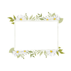 white flower beautiful frame