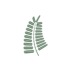 leaf branch graphic design template vector
