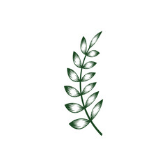 leaf branch graphic design template vector