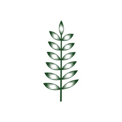 leaf branch graphic design template vector