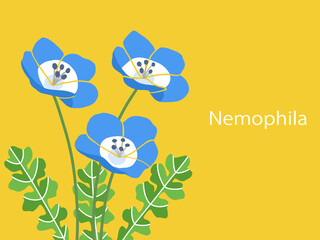 花・ネモフィラ