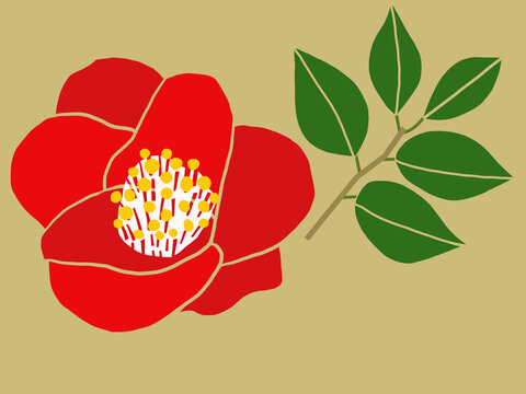 花。ツバキ
