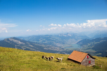 Obraz premium 여행지 풍경