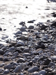 早朝の光に照らされた小石