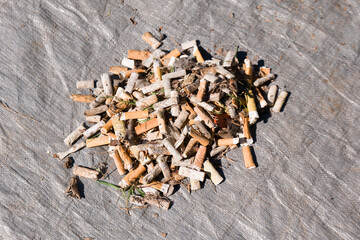 cigarette rubbish collected from a creek.