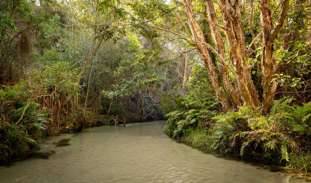 Eli Creek, K'Gari/Fraser Island