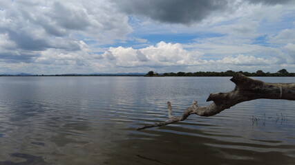 Water in a Lake with dark sky and Decayed tree branch 