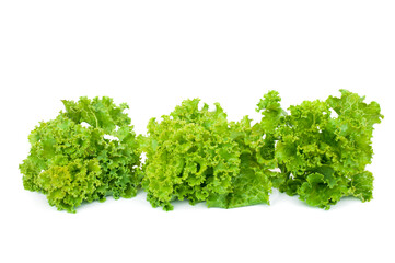 Organic Lactuca sativa isolated on white background.