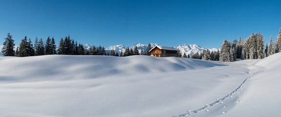 Winterpanorama - Verschneite Winterlandschaft