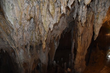 日本の自然、日本の食べ物