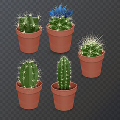 Collection of realistic cactuses in flower pot on dark background