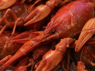 Close-up shot of boiled red crayfish
