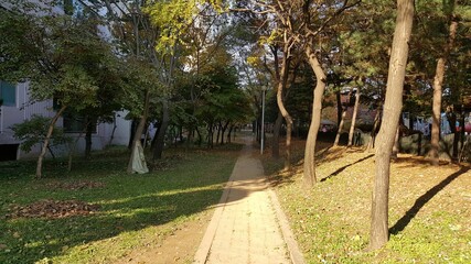 산책로