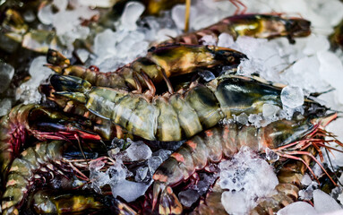 Tiger prawns frozen in ice are sold at Ban Phe Seafood Market, Rayong, Thailand.