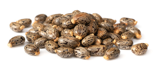 Castor beans isolated on white background