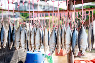 Dried salted fish hung by straw rope for sale by the sea, Rayong Province, Thailand.