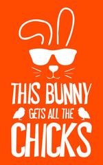 This bunny gets all the chicks. Funny text with cool rabbit wearing sunglasses. design for t-shirt, print. 