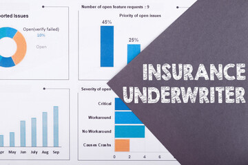 The word INSURANCE UNDERWRITER is written on a gray background with diagrams and graphs.