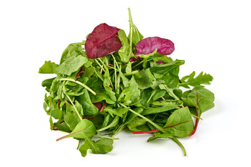 Salad mix from rucola, frisee, radicchio and lamb's lettuce, isolated on white background.