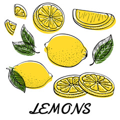 Collection yellow fresh lemons. Set of citrus fruits. Ripe lime, slices, plant leaf, cut pieces, green leaves. Freehand drawn. Template for bar menu. Vector illustration isolated on white background