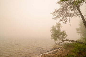 Fototapeta na wymiar Mist lake. View of the foggy lake in the morning. Thick fog creeps over a forest lake or river