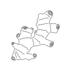 Ginger line drawing vector. Food concept. Isolated icon. Vegetable Vector Design. Design linear artwork element. Flat design. one-line object.