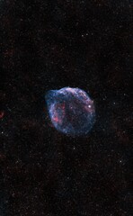 Naklejka na ściany i meble Dolphin Nebula Sh2-308