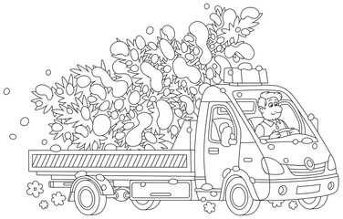 Funny driver in a small truck carrying a snowy Christmas tree from a winter forest, black and white outline vector cartoon illustration for a coloring book page