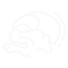 wayang puppet bagong