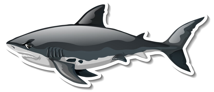 Shark animal cartoon sticker