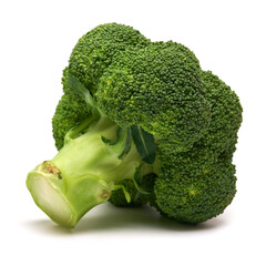 Fresh natural organic broccoli isolated on white background