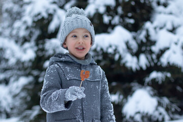 A little boy in a gray coat and a knitted hat holds a cockerel lollipop in his hand