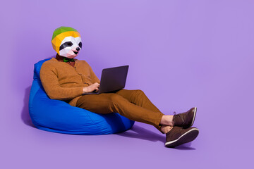 Full size profile photo of sloth head person sitting soft bag use netbook isolated on purple color background - obrazy, fototapety, plakaty