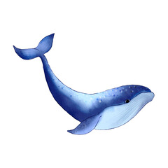 Watercolor whale. Hand drawn cartoon style blue vector whale