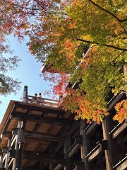 京都・清水寺・紅葉