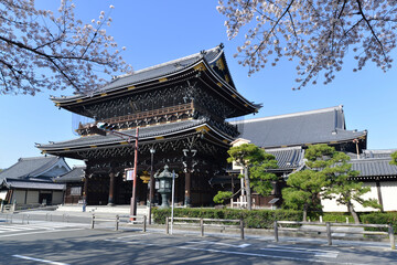 春の東本願寺　御影堂門　京都市下京区