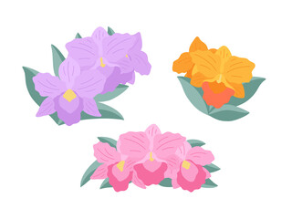 Orchid flowers (Brassolaeliocattleya) on a white background, flat illustration. A set of simple small delicate bouquets for your design. Flat cartoon vector illustration.