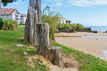 Coastal area of Noja town in Cantabria, Spain