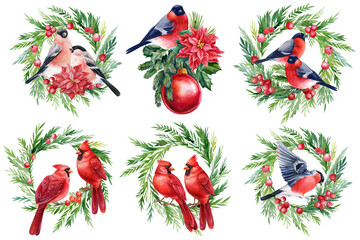 Set of decorations, festive wreaths with Birds, red cardinal, bullfinches and robin, watercolor illustration