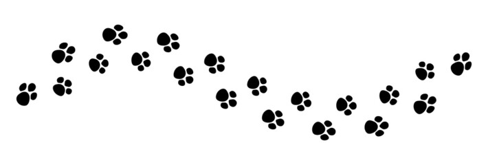 Print of paw dog or cat. Canine footprint. Pattern of pet foot. Black trail of tiger isolated on white background. Silhouette of paw of puppy. Icon of animal track. Cute pawprint and path. Vector