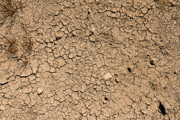 Dry cracked soil in a field during drought. Global warming problem. Ecology issue. Earth dying concept. Effect of water shortage on agriculture industry. Warm color.